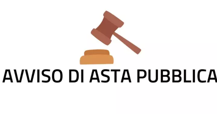 asta pubblica