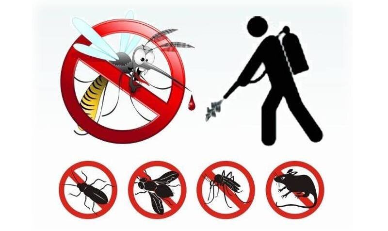 disinfestazione